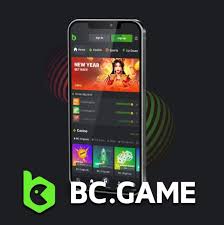 Discover the Thrills at Online Crypto Casino BC.Game
