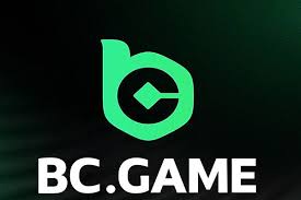 Discover the Thrills at Online Crypto Casino BC.Game